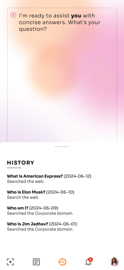 American Express preview