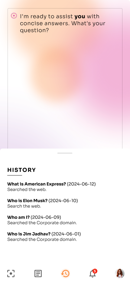 American Express preview